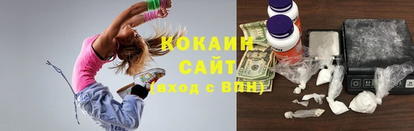 индика Елабуга