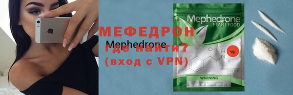 индика Елабуга