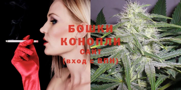 индика Елабуга