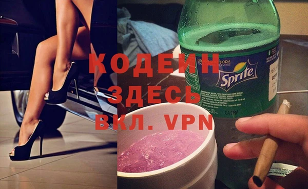 индика Елабуга