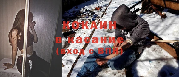 индика Елабуга