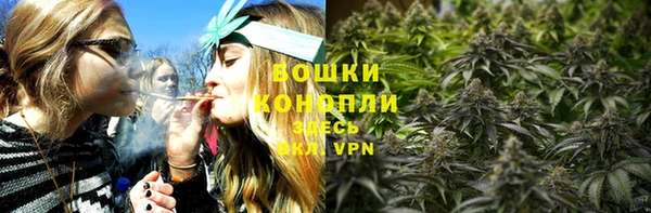 индика Елабуга