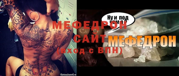 индика Елабуга