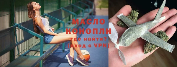 индика Елабуга
